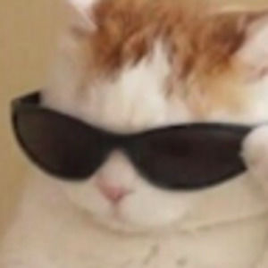 Meet your Posher, Montserrat